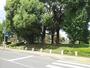 公園　秋津中央公園（公園）まで800m