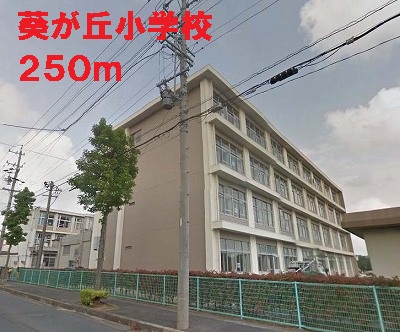小学校　葵が丘小学校（小学校）まで250m