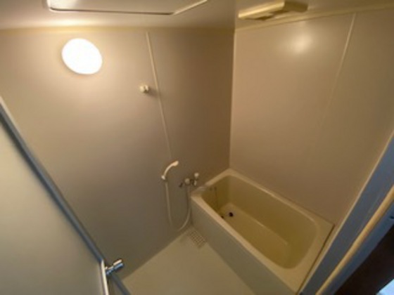 バス・シャワールーム　※別部屋の写真です