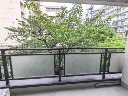 眺望　バルコニーから桜の木が望め、季節の変化を感じさせてくれます