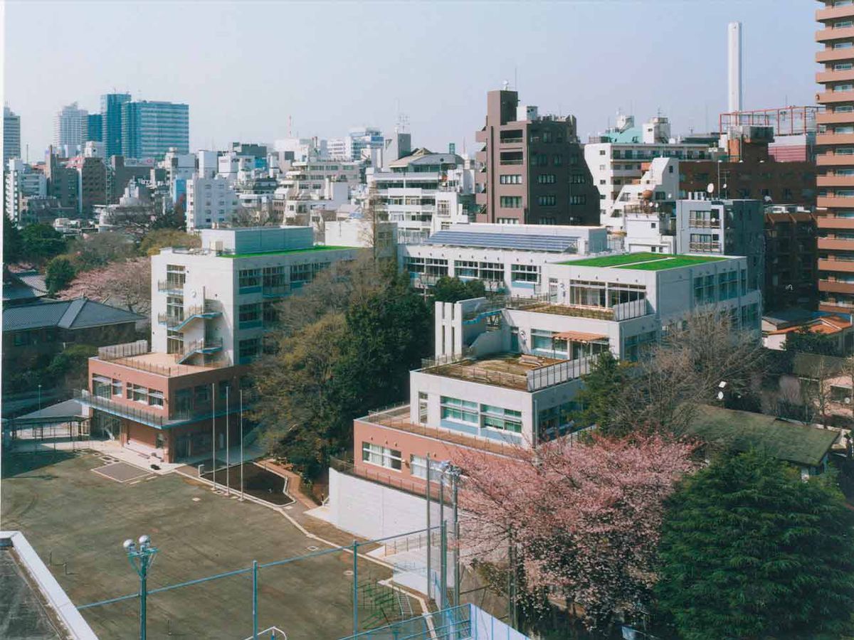 小学校　南池袋小学校（小学校）まで206m