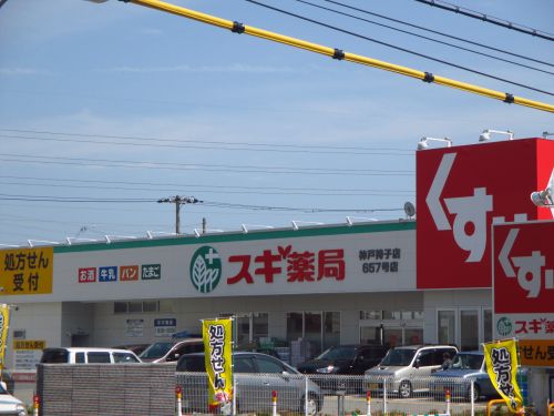ドラックストア　スギ薬局玉津店（ドラッグストア）まで354m