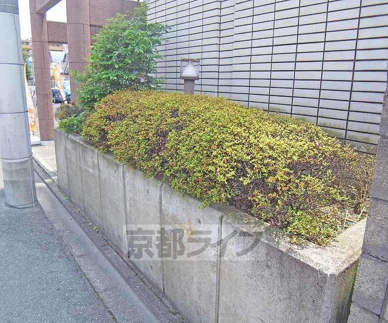 庭