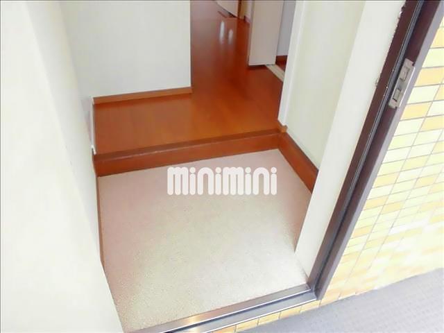 玄関　同一物件、別部屋の写真です。