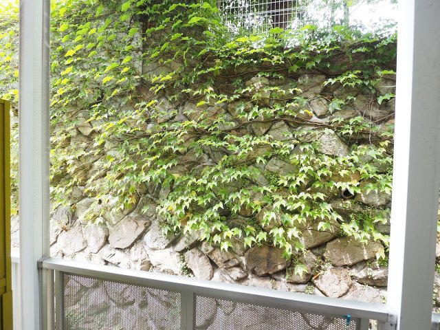 レオパレス岡本のその他写真