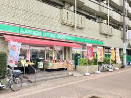 コンビニ　ローソンストア100 LS大泉学園町八丁目店（コンビニ）まで248m