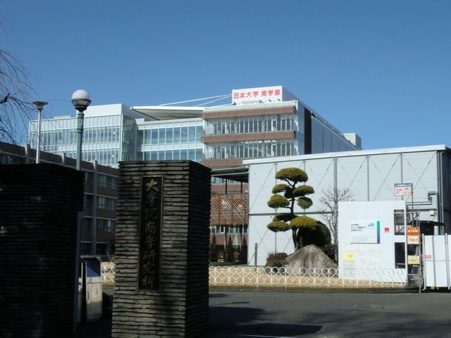 その他　日大商学部（その他）まで197m