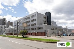 小学校　札幌市立中央小学校（小学校）まで1325m