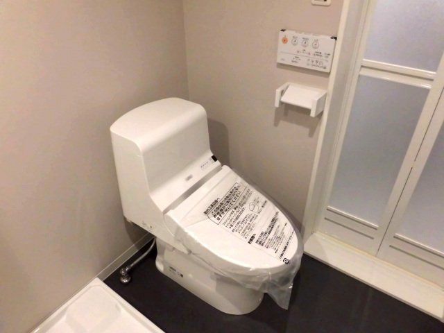 ＪＲおおさか東線 ＪＲ長瀬駅 徒歩6分 2階建 築10年のトイレ写真