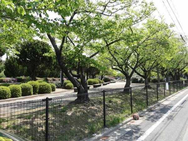 【パークサイド峯沢の公園】