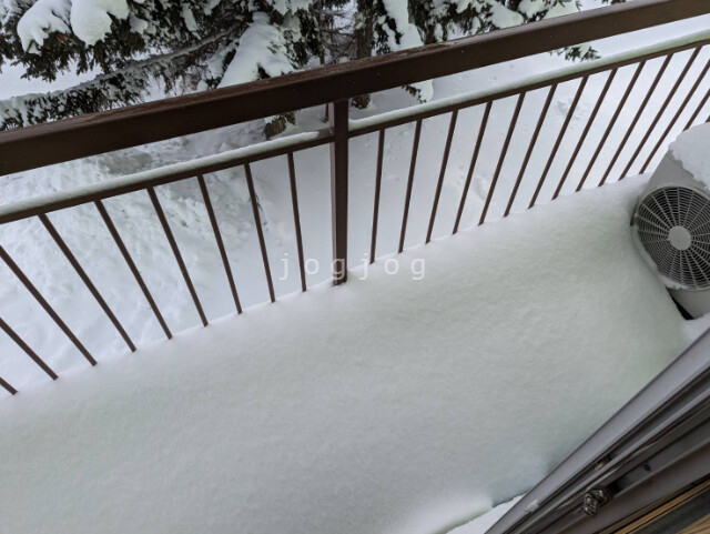 カームネス A_その他_2