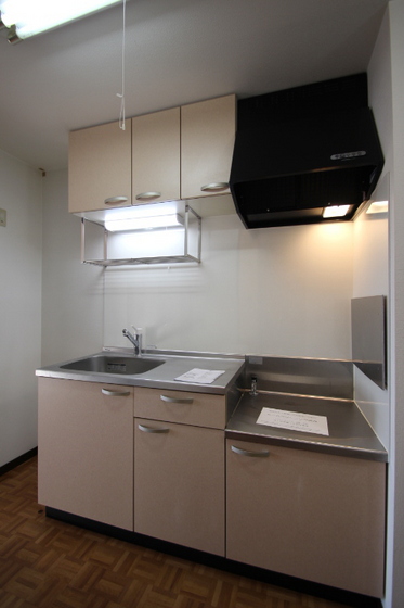 キッチン　※他号室の写真です