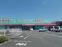 ドラックストア　ドラッグストアコスモス菊南店（ドラッグストア）まで1300m