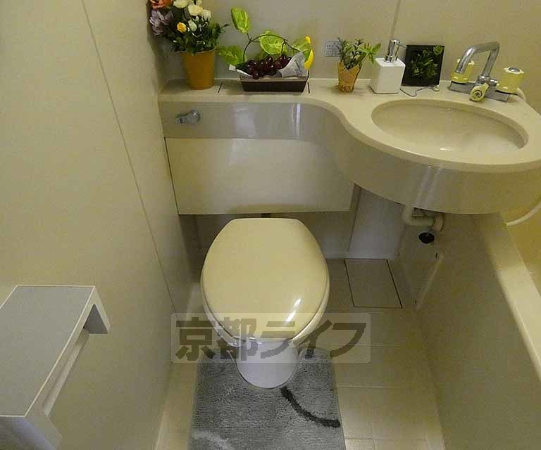 トイレ　トイレです