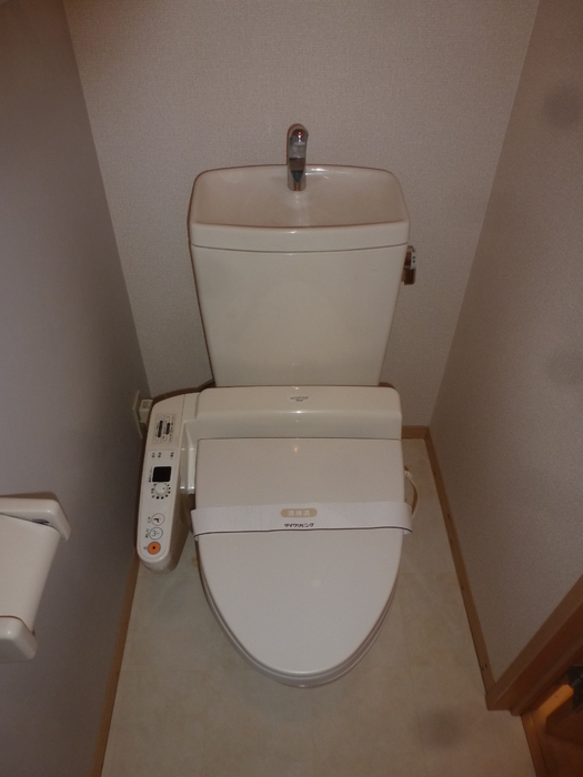 埼玉高速鉄道 戸塚安行駅 徒歩10分 2階建 築23年のトイレ写真