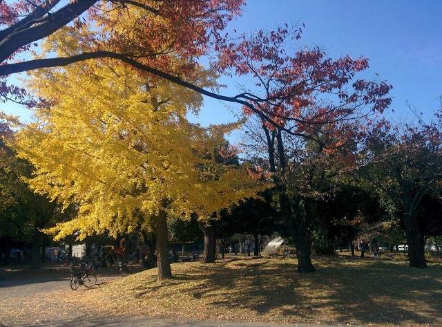 公園　神奈川公園（公園）まで496m
