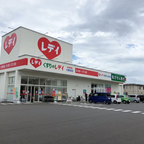 ドラックストア　くすりのレデイ 大新田（ドラッグストア）まで438m