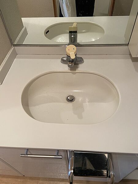 洗面設備　※別部屋の参考写真です。