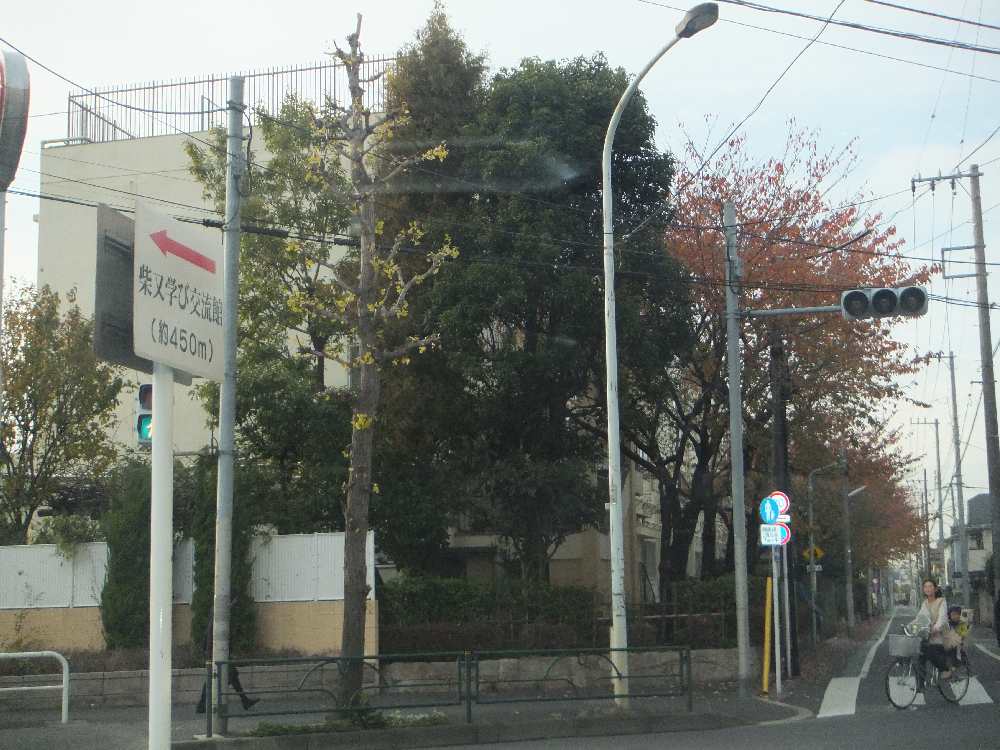 小学校　柴又小学校（小学校）まで452m