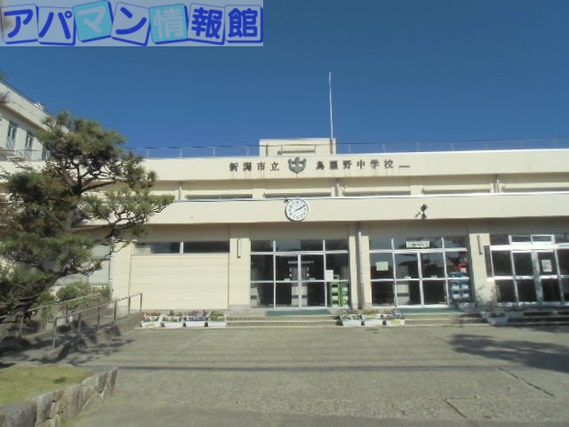 中学校　新潟市立鳥屋野中学校（中学校）まで684m