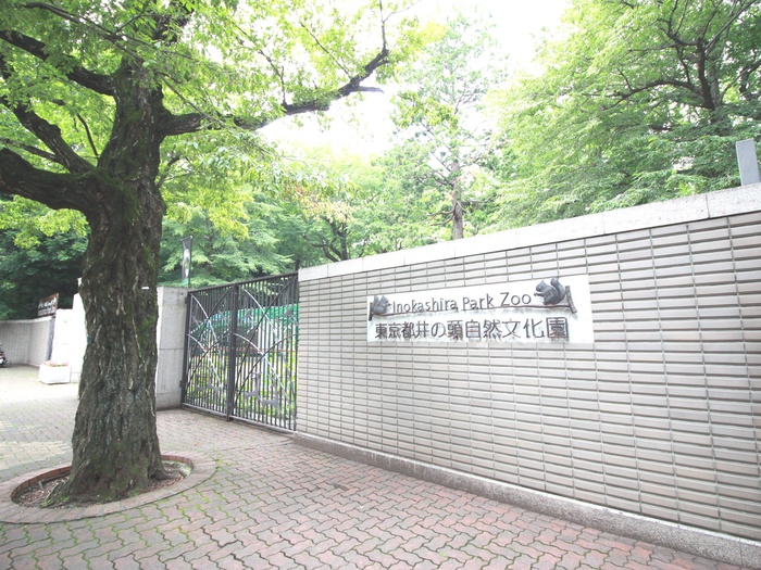 公園　井の頭自然文化園（公園）まで650m