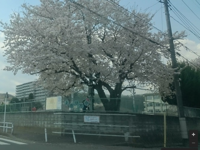 小学校　八王子市立上壱分方小学校（小学校）まで1028m