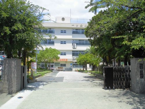 小学校　一ツ橋小学校（小学校）まで527m