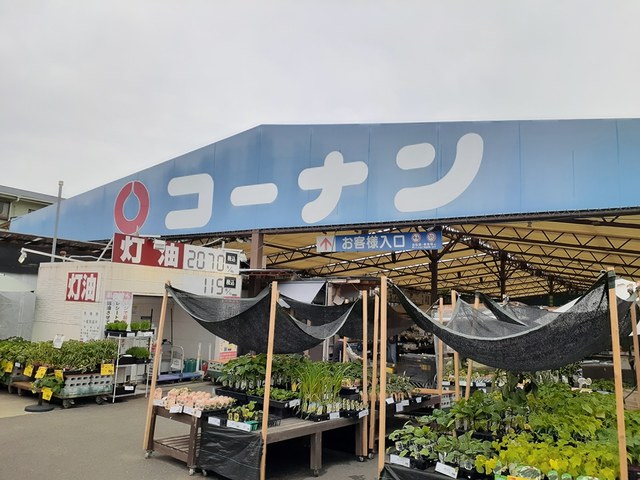 ホームセンター　コーナン泉大津店（ホームセンター）まで450m