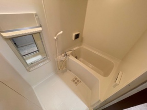 バス・シャワールーム　※別部屋の写真です