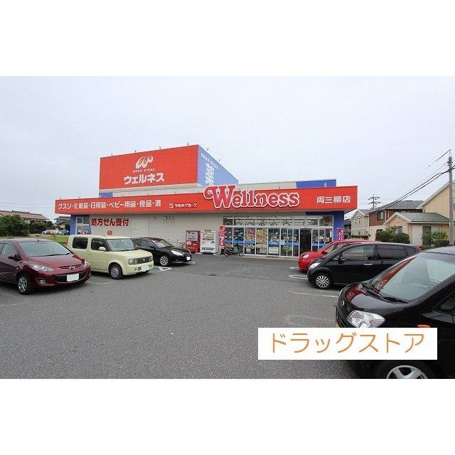 ドラックストア　ウェルネス両三柳店（ドラッグストア）まで700m
