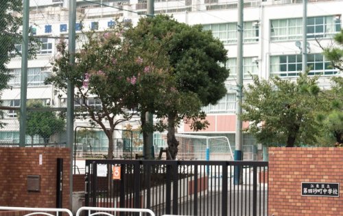 中学校　第四砂町中学校（中学校）まで1163m