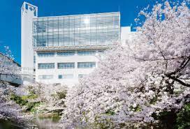 大学・短大　神戸薬科大学（大学・短大）まで1993m
