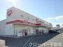 その他　くすりのレディ坂出南店まで1200m