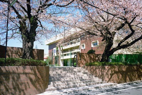 小学校　私立清明学園初等学校（小学校）まで224m