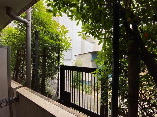 庭