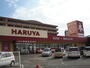 その他　書店（その他）まで2000m