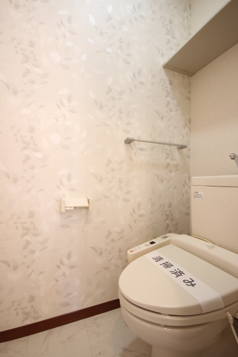 メゾン・スクエアA棟のトイレ写真