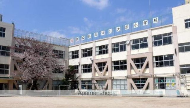 小学校　大原小学校（小学校）まで244m