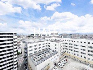 眺望　別号室類似、募集部屋：ホワイトタイプ