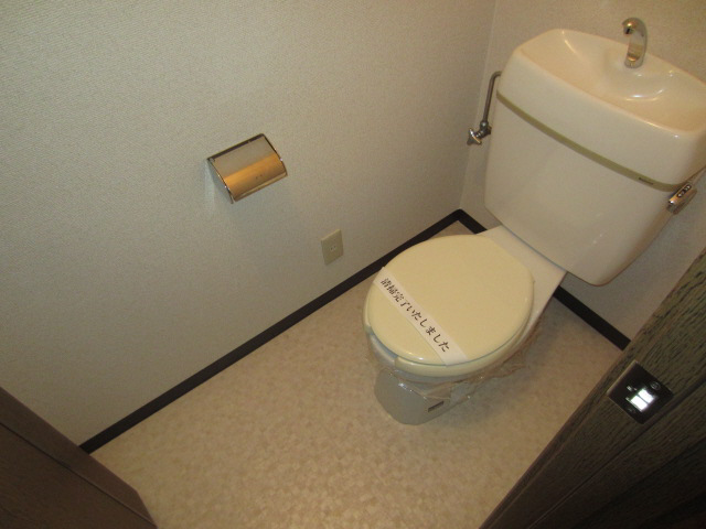 ＪＲ阪和線 下松駅 徒歩14分 2階建 築30年のトイレ写真