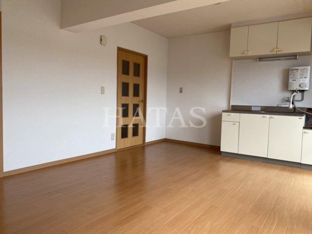 居室・リビング　同物件別部屋です。