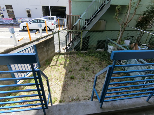 庭
