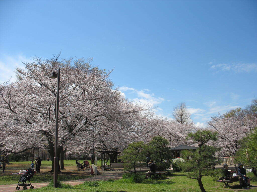 【カーサ第2亀戸2号棟2の公園】