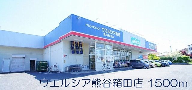 【熊谷市原島のアパートのドラックストア】