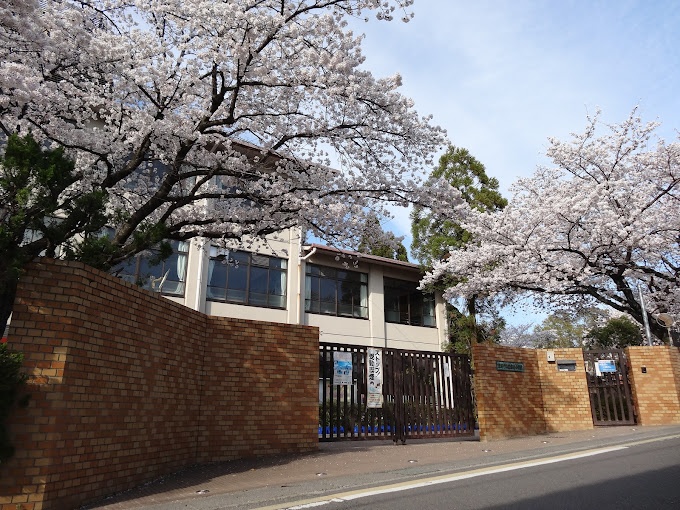 小学校　京都市立岩倉南小学校（小学校）まで693m