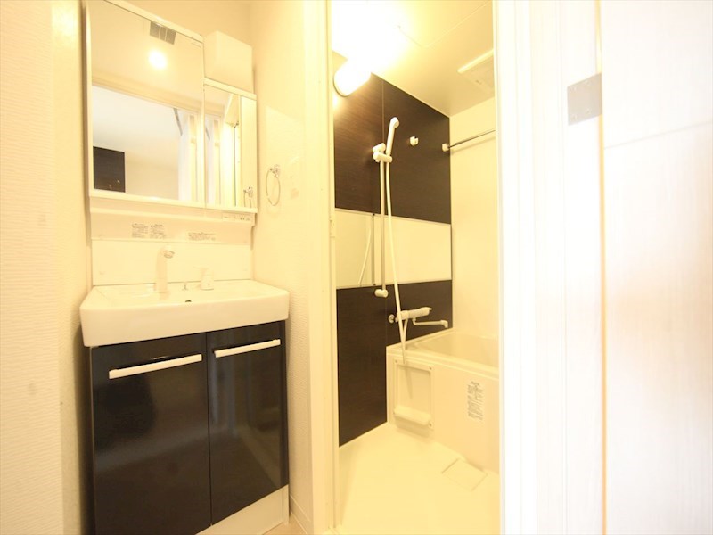 洗面設備　脱衣所　独立洗面台（シャンプードレッサー付）収納スペース有