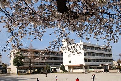 小学校　さいたま市立柏崎小学校（小学校）まで700m