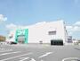 その他　ニトリ　岩槻店（その他）まで600m