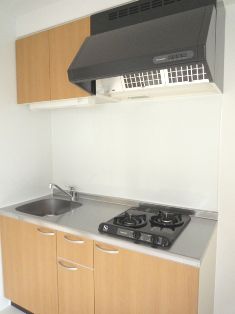 キッチン　2口ガスシステムキッチン