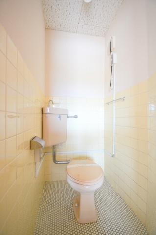 トイレ　洗浄済みのトイレ。